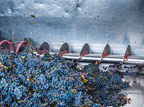 Application vinicole : pressurage SMC_Pressurage