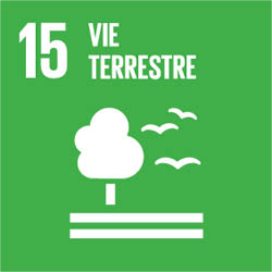 odd15 Visuel provisoire : odd15